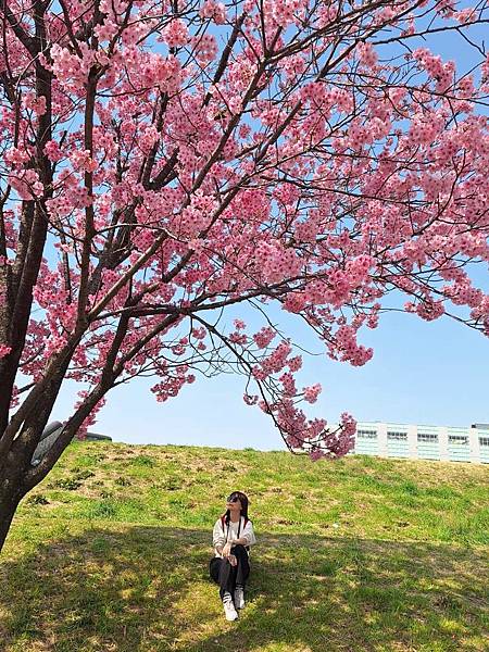 1140326-1汐入公園(一)