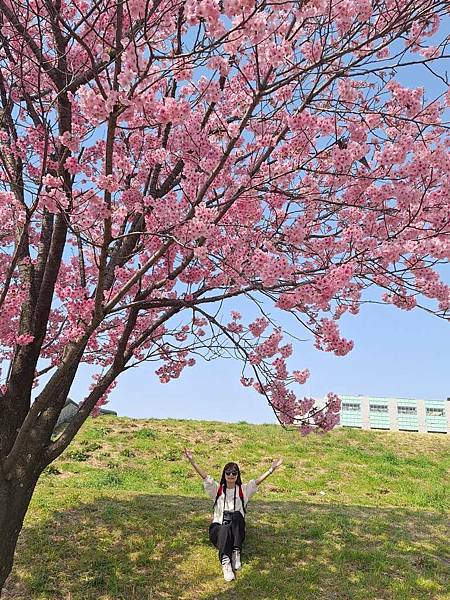 1140326-1汐入公園(一)