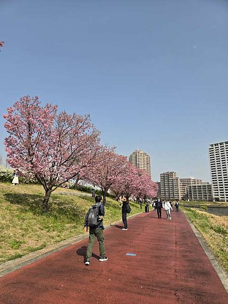 1140326-1汐入公園(一)