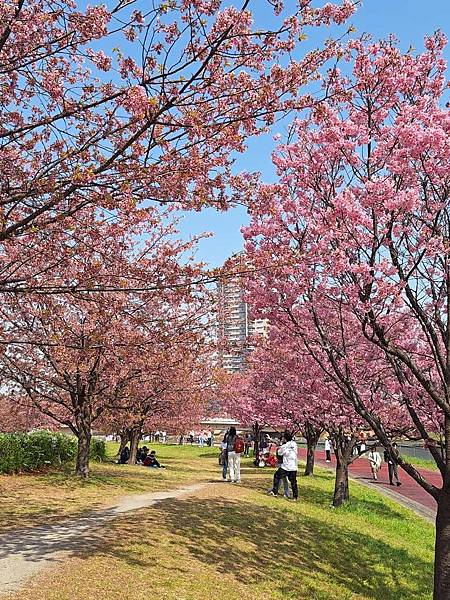 1140326-1汐入公園(一)