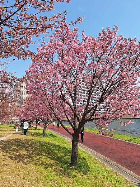 1140326-1汐入公園(一)