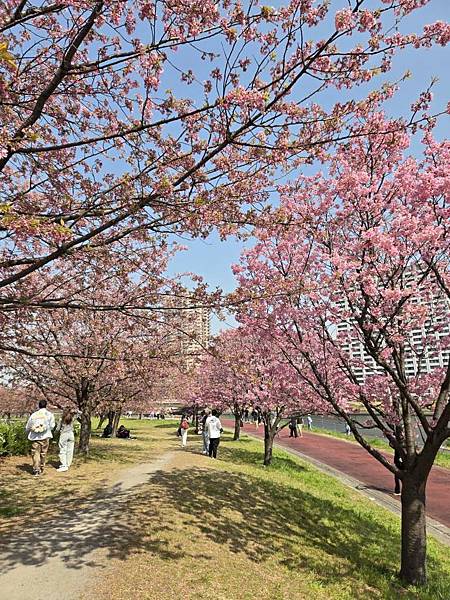 1140326-1汐入公園(一)