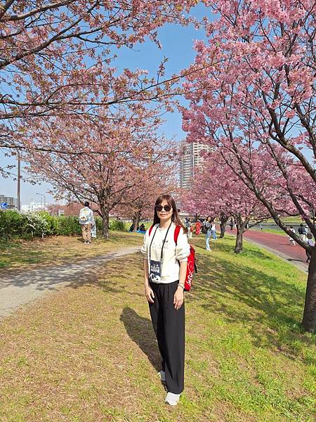 1140326-1汐入公園(一)