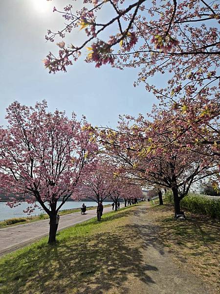 1140326-1汐入公園(一)