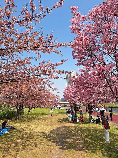 1140326-1汐入公園(一)