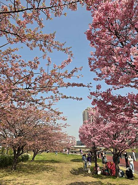 1140326-1汐入公園(一)