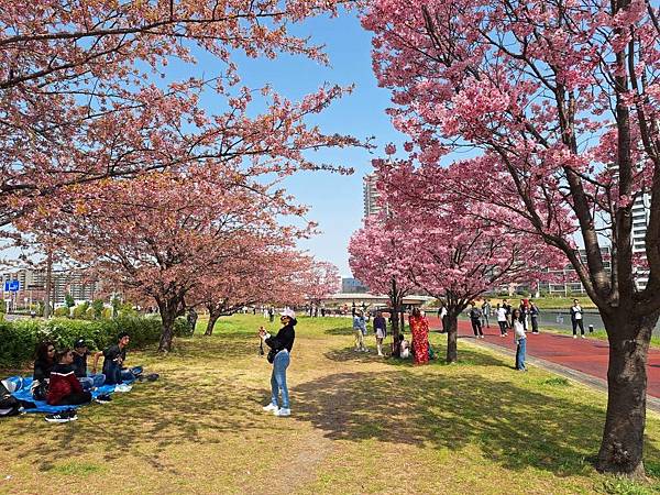 1140326-1汐入公園(一)