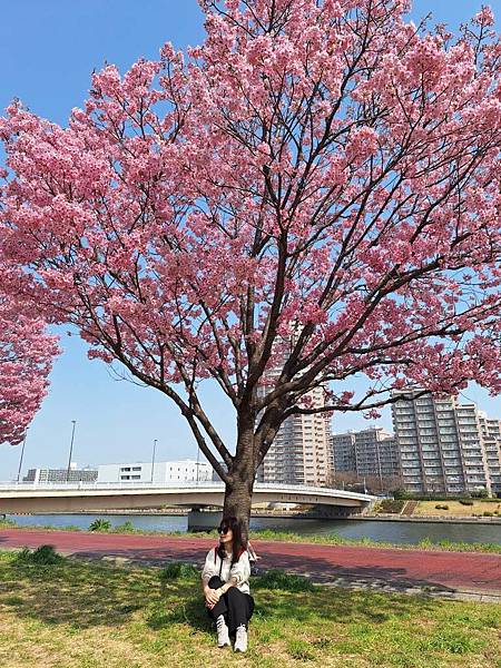 1140326-1汐入公園(一)