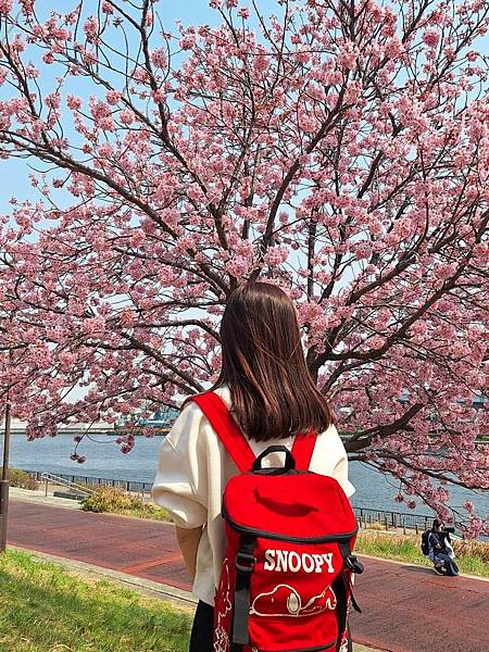 1140326-2汐入公園(二)