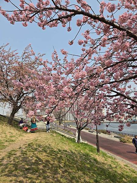 1140326-2汐入公園(二)