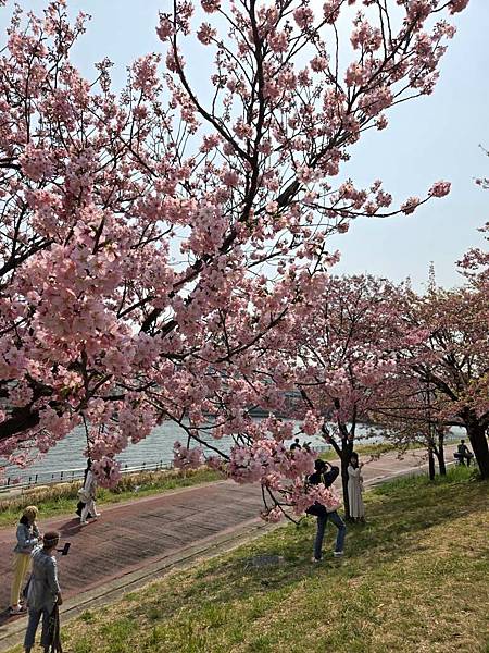 1140326-2汐入公園(二)