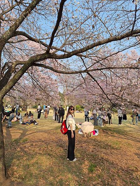 1140326-5新宿御苑(二)