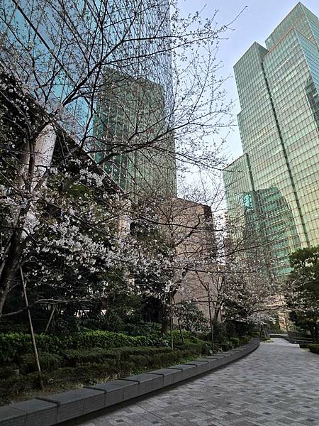 1140326-8六本木一丁目站「なだれ坂」 1140326-8六本木一丁目站「なだれ坂」