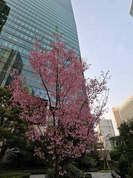 1140326-8六本木一丁目站「なだれ坂」 1140326-8六本木一丁目站「なだれ坂」