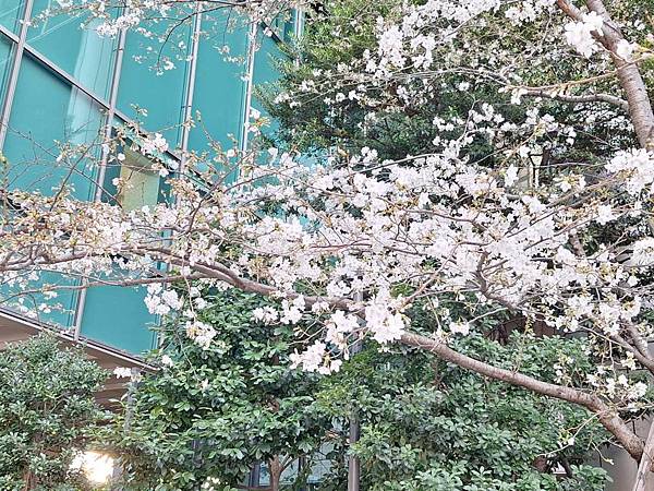 1140326-8六本木一丁目站「なだれ坂」 1140326-8六本木一丁目站「なだれ坂」