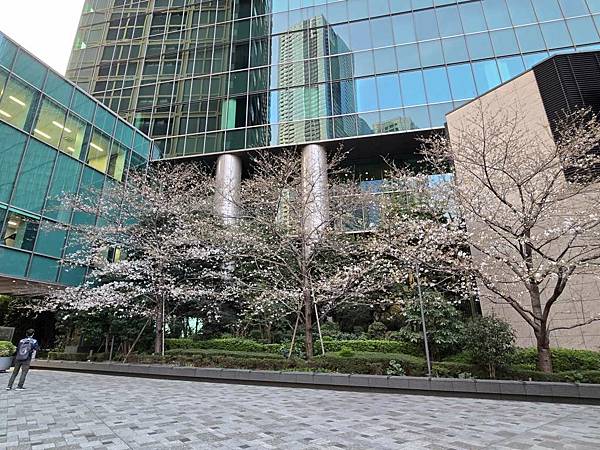 1140326-8六本木一丁目站「なだれ坂」 1140326-8六本木一丁目站「なだれ坂」