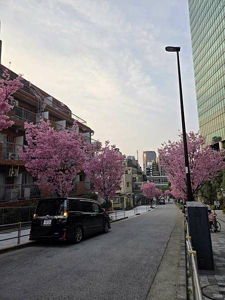 1140326-8六本木一丁目站「なだれ坂」 1140326-8六本木一丁目站「なだれ坂」