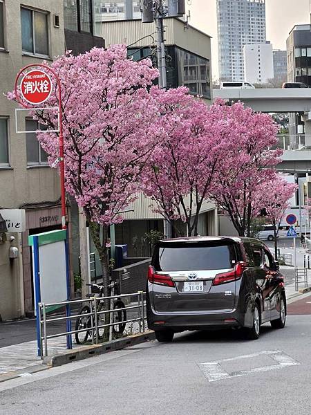 1140326-8六本木一丁目站「なだれ坂」 1140326-8六本木一丁目站「なだれ坂」