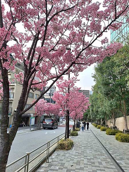 1140326-8六本木一丁目站「なだれ坂」 1140326-8六本木一丁目站「なだれ坂」