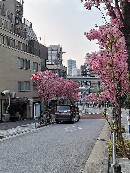 1140326-8六本木一丁目站「なだれ坂」 1140326-8六本木一丁目站「なだれ坂」
