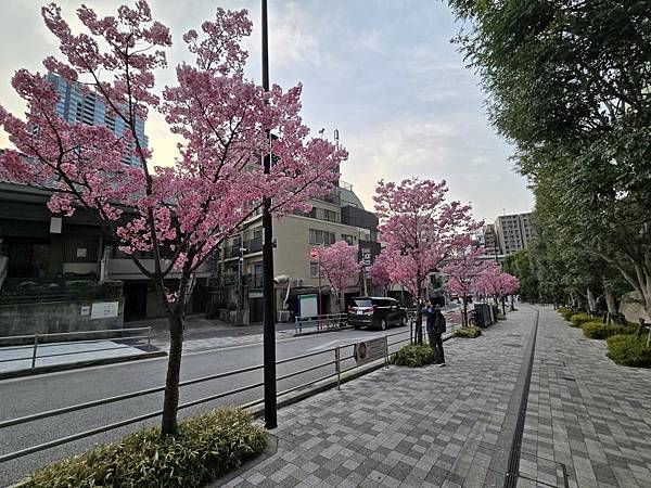 1140326-8六本木一丁目站「なだれ坂」 1140326-8六本木一丁目站「なだれ坂」