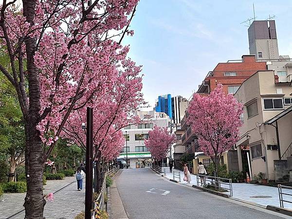 1140326-8六本木一丁目站「なだれ坂」 1140326-8六本木一丁目站「なだれ坂」