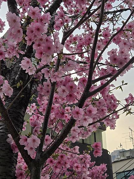 1140326-8六本木一丁目站「なだれ坂」 1140326-8六本木一丁目站「なだれ坂」