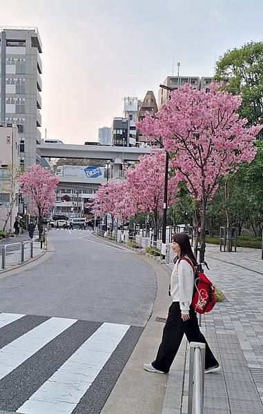 1140326-8六本木一丁目站「なだれ坂」 1140326-8六本木一丁目站「なだれ坂」