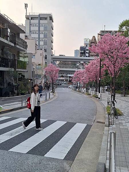 1140326-8六本木一丁目站「なだれ坂」 1140326-8六本木一丁目站「なだれ坂」