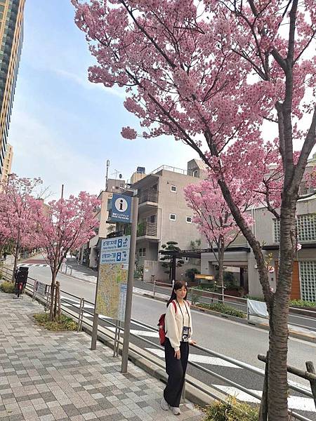 1140326-8六本木一丁目站「なだれ坂」 1140326-8六本木一丁目站「なだれ坂」