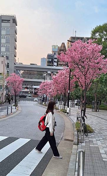 1140326-8六本木一丁目站「なだれ坂」 1140326-8六本木一丁目站「なだれ坂」