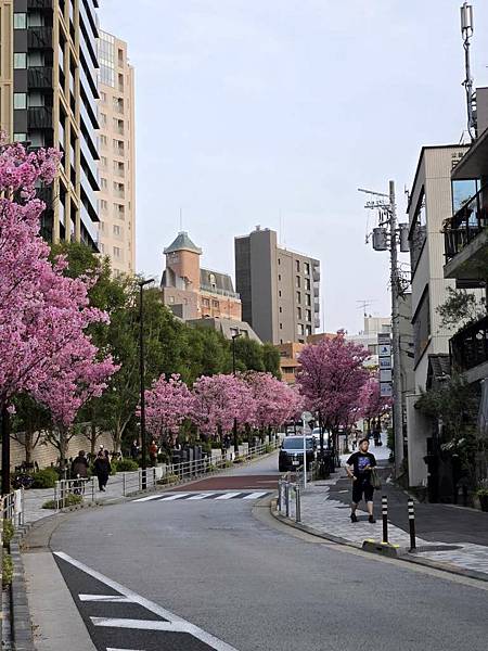 1140326-8六本木一丁目站「なだれ坂」 1140326-8六本木一丁目站「なだれ坂」