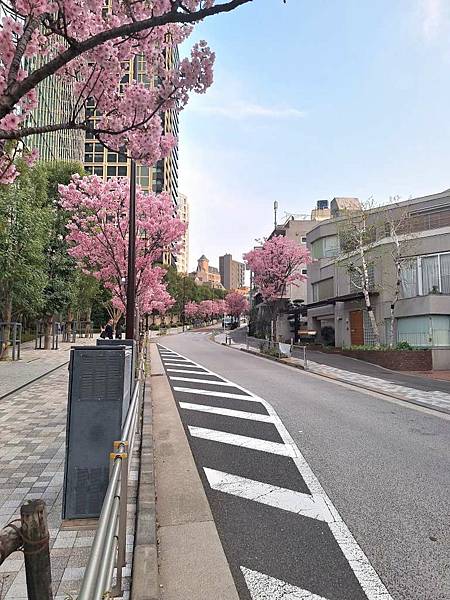 1140326-8六本木一丁目站「なだれ坂」 1140326-8六本木一丁目站「なだれ坂」