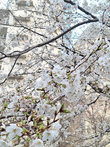 1140326-8六本木一丁目站「なだれ坂」 1140326-8六本木一丁目站「なだれ坂」