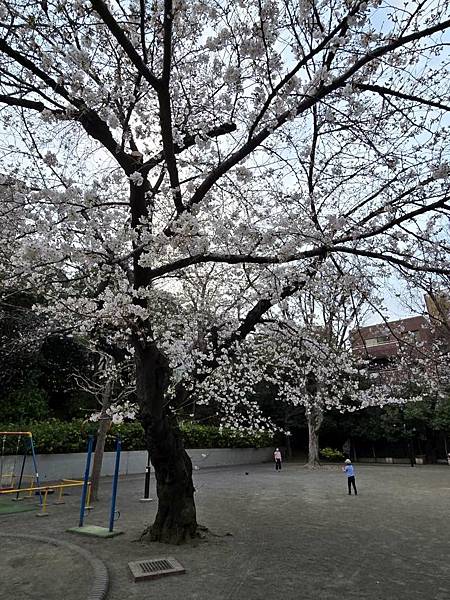 1140326-8六本木一丁目站「なだれ坂」 1140326-8六本木一丁目站「なだれ坂」