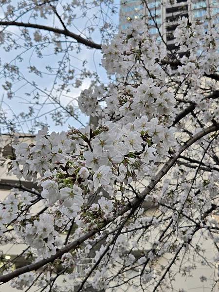 1140326-8六本木一丁目站「なだれ坂」 1140326-8六本木一丁目站「なだれ坂」