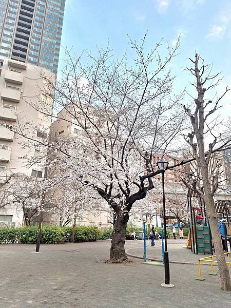 1140326-8六本木一丁目站「なだれ坂」 1140326-8六本木一丁目站「なだれ坂」