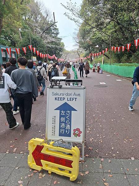 1140327-5上野公園櫻花