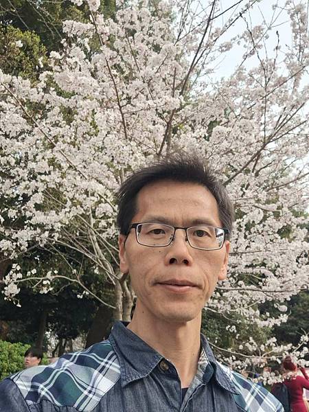 1140327-5上野公園櫻花