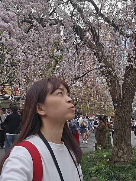 1140327-5上野公園櫻花