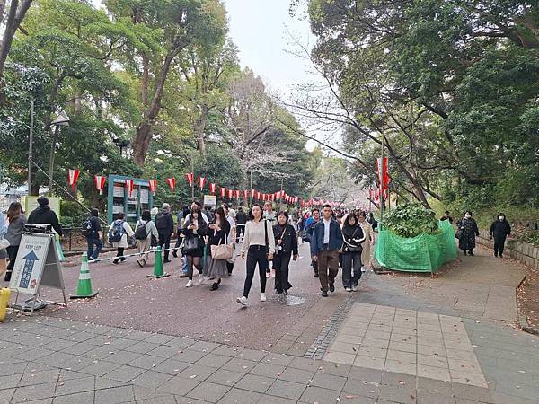 1140327-5上野公園櫻花