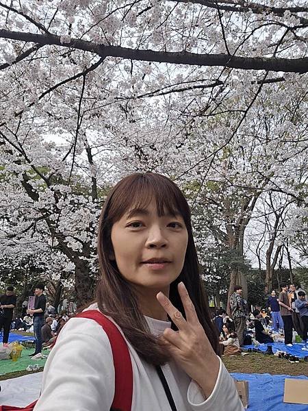 1140327-5上野公園櫻花