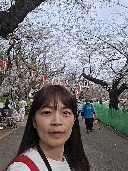 1140327-5上野公園櫻花