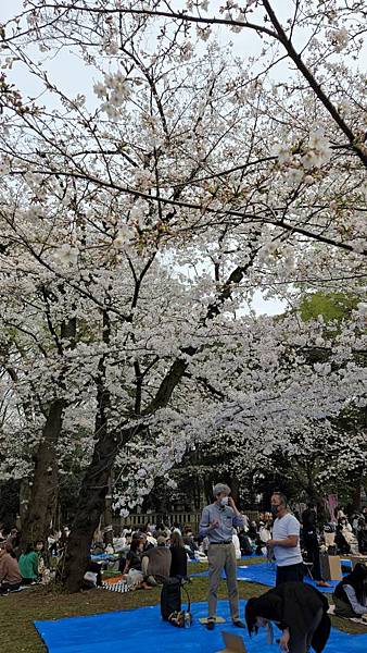 1140327-5上野公園櫻花