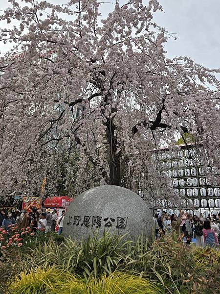 1140327-5上野公園櫻花