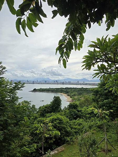 1140816-4山茶半島 1140816-4山茶半島