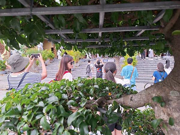 1140816-4山茶半島 1140816-4山茶半島