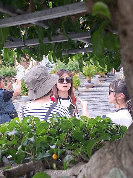 1140816-4山茶半島 1140816-4山茶半島