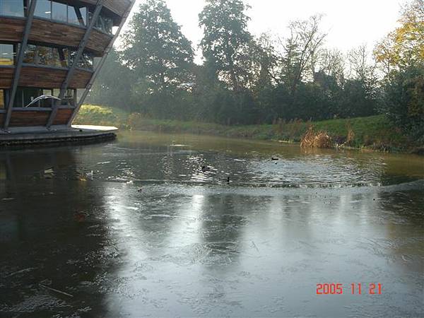 湖面結冰了