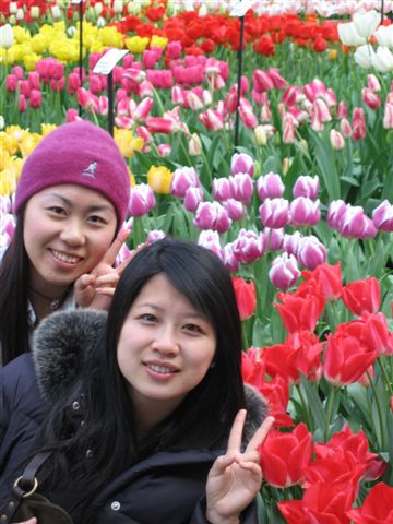 第十一天：庫肯霍夫鬱金香花園 Keukenhof